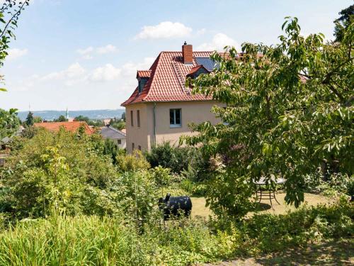 Gastezimmer Richter, Drážďany (fotografie 6)