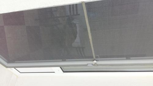 Apartments Katarina - image 12