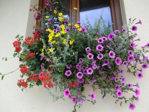Haus Rye B&B – Obertraun, MI