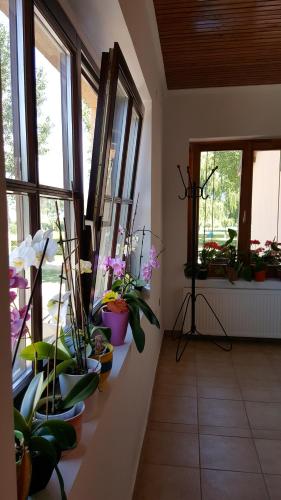 Létesítmények, Balaton Panzio in Balatonberény