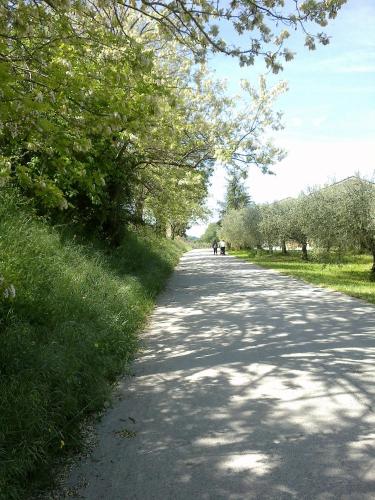 Agriturismo Fonte Carra