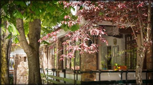 Hostal l'Avet Blau - image 9