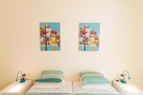 Athena Villas Olive Grove & Estate - image 7