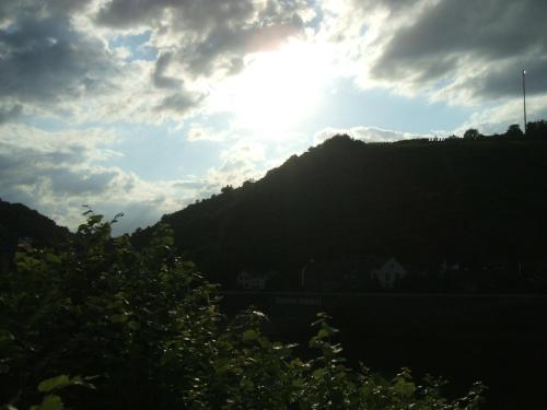 Gasthaus Traube Niederfell - image 9
