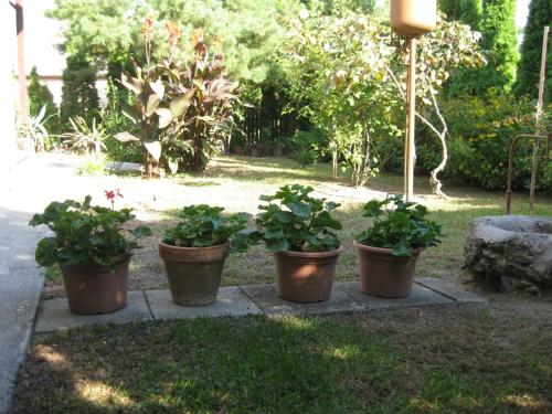  Apartment in Fonyod/Balaton 18601 in Fonyód