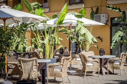 Palacio de Rojas - image 9