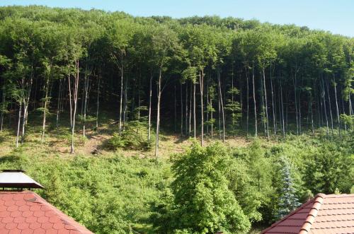  Holiday home in Ómassa/Ostungarn 20469 in Ómassa