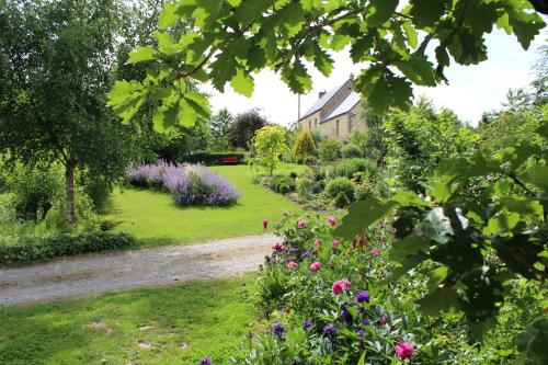 Au Jardin Des Violettes