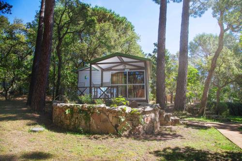 Camping Arutoli