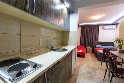 De Lux Apartments Luka - image 10