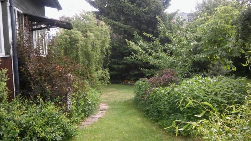 Stary Dom B&B - image 13