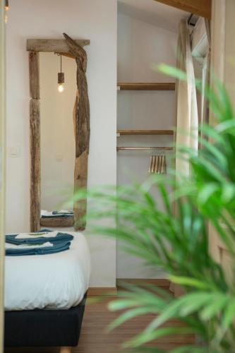 Ocean Garden Surf Lodge photo 22