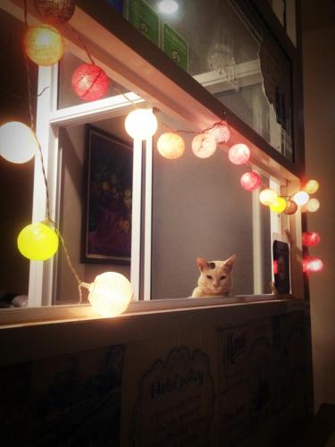 Front desk [24-hour]