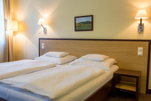 Tokajvár Hotel - image 13