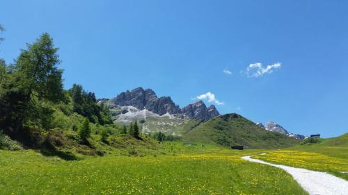 Edelweisshütte Ladurns