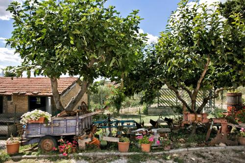 Agriturismo La Rosa Montefalco - image 3
