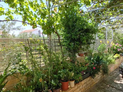 Studio with Garden View (3 Adults) image 1