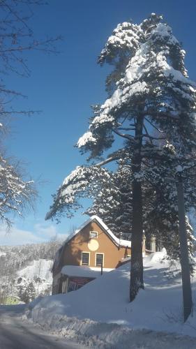 Apartments V Zatacce in Albrechtice V Jizerskych Horach