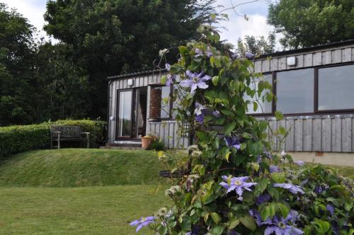 Robin Holiday Cottage, , Devon