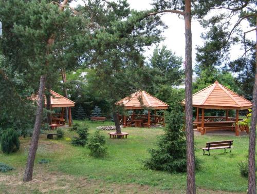 Hotel U Witaszka in Чоснув