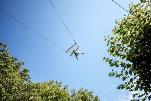 Бухта Вікінгів