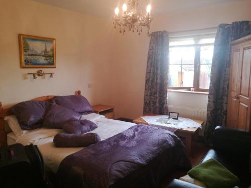 B&B Ballyshannon - Assaroe House - Bed and Breakfast Ballyshannon