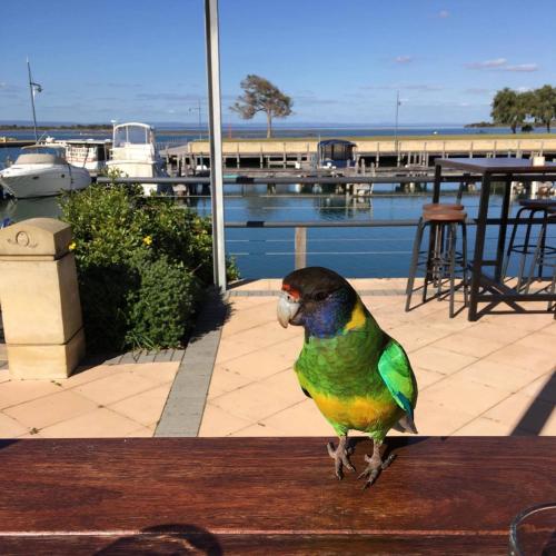 Mandurah Quay Resort