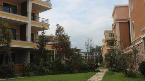 DreamLand Apartments Oasis in Chakvi