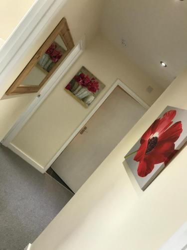 Pavilion Holiday Apartments - main image