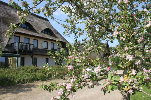 Kur-& Landhotel Borstel - Treff in Dabel, Deutschland