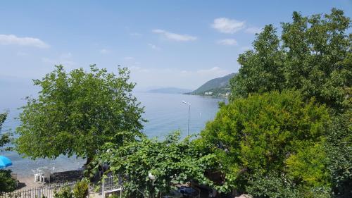 Kert, Apartments Villa Boris in Peshtani