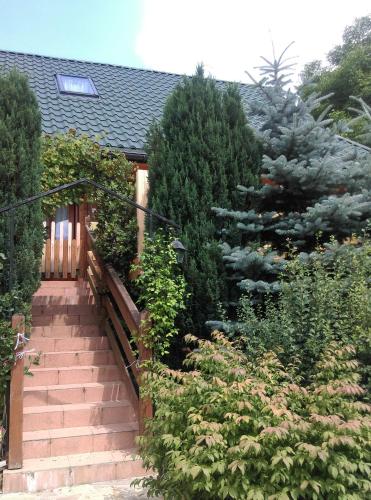 Guesthouse Italia
