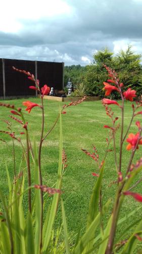 Woodlands House - image 3