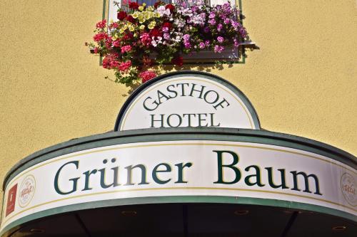 Hotel Grüner Baum - image 14