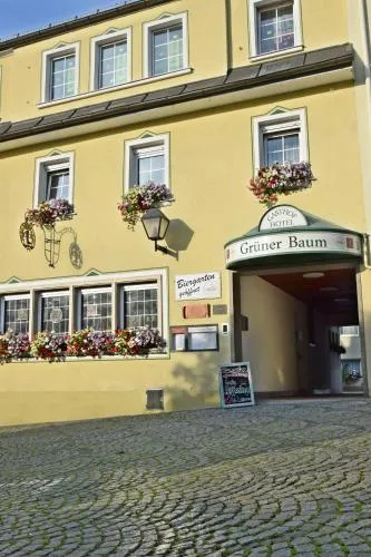 Hotel Grüner Baum in Naila, Österreich