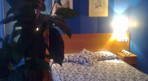 Hostal Gran Via Levante