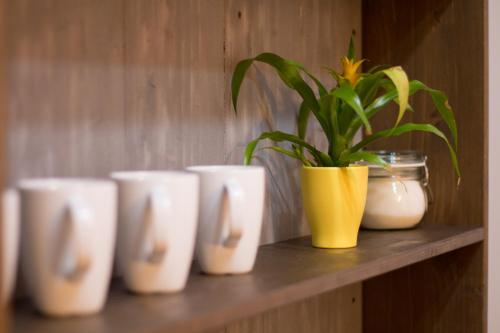 Poarta Schei apartment - main image