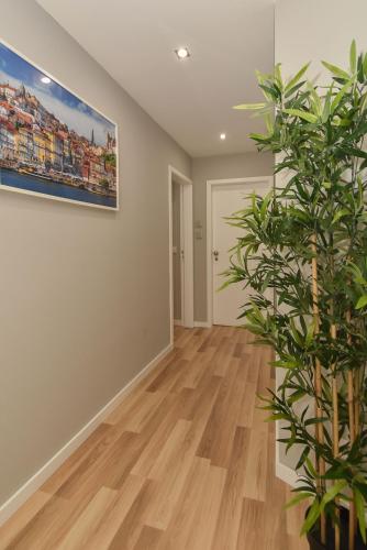  Oporto Bernardes Studios - Heroísmo, Unterkunft in Porto