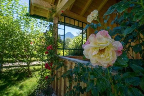 Ausseer Chalet (nahe Hallstatt), Ferienhaus