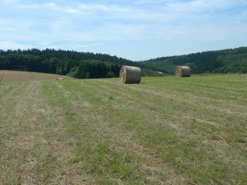 สภาพแวดล้อมโดยรอบ, Das Alte Forsthaus in ไกเซนไฮม์