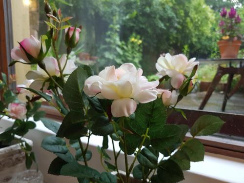 Studio- Kokon- Souterrain Studio- Kokon- Souterrain