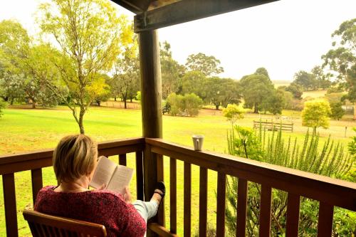 View, Diamond Forest Farm Stay in Manjimup