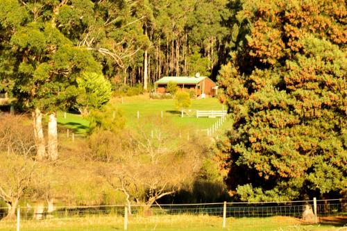 Diamond Forest Farm Stay