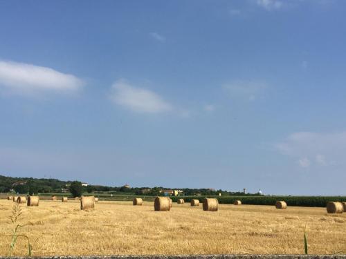 Agriturismo Villa Gaia - image 5