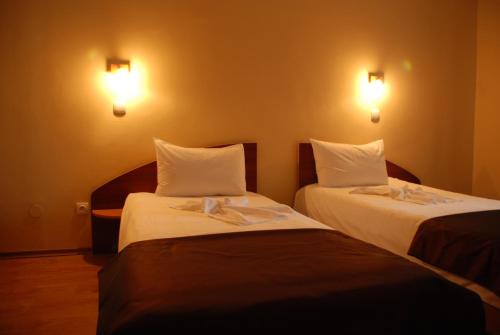 Hotel Liliacul - image 8