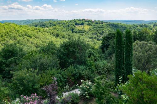 L'abbraccio della quercia