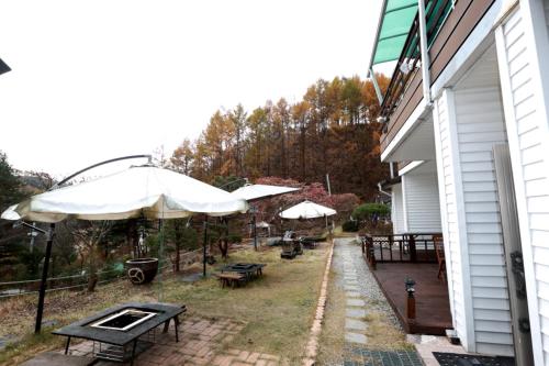 Pinearoma Pension