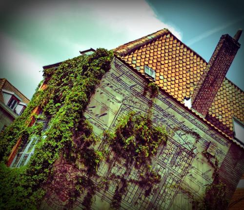 Hostel Lybeer Bruges