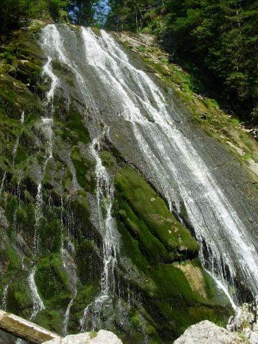 Weideblick Weideblick