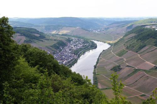 Ferienweingut Hensler